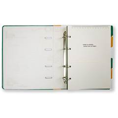CADERNO ORGANIZADOR STRANGER THINKS  VERDE - CICERO