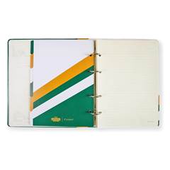 CADERNO ORGANIZADOR STRANGER THINKS  VERDE - CICERO