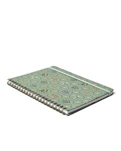 CADERNO ESPIRAL JARDIM PAUTADO 20X27,5 VERDE 1 MATERIA 80 FLS - CICERO