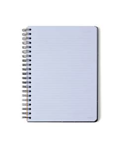 CADERNO ESPIRAL PRAIA PAUTADO 20X27,5 CACHORROS 10 MAT¿RIAS 160 FLS - CICERO