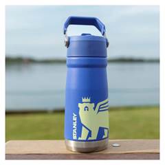 GARRAFA TERMICA FLIP IRIS  500ML 8258-STANLEY