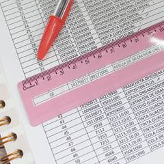 REGUA GUIA DE LEITURA 30CM ROSA-MAXCRIL