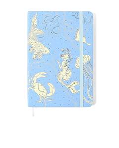 PLANNER PERMANENTE SEM PAUTA AQUA AZUL 14X21 - CICERO