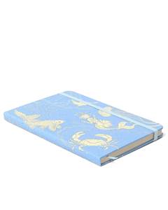 PLANNER PERMANENTE SEM PAUTA AQUA AZUL 14X21 - CICERO